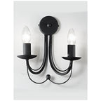 FL2173/2 Black Wall Light