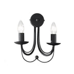 FL2173/2 Black Wall Light