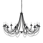 FL2173/12 Black Ceiling 12 Light