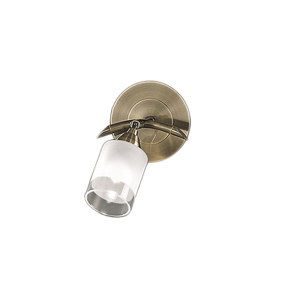 SPOT8771 1 Light Bronze Decorative Spotlight Fitting