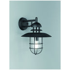 Outdoor Wall Light In Matt Black Finish With Metal Cage EXT6616