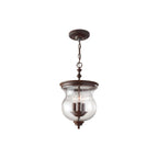 Pickering Lane Duo Mount Ceiling Light In Heritage Bronze FE/PICKERINGL/SF