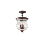 Pickering Lane Duo Mount Ceiling Light In Heritage Bronze FE/PICKERINGL/SF