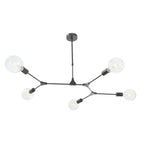 Euphemia Modern 5 Light Ceiling Pendant Light In Black Finish EUP0539