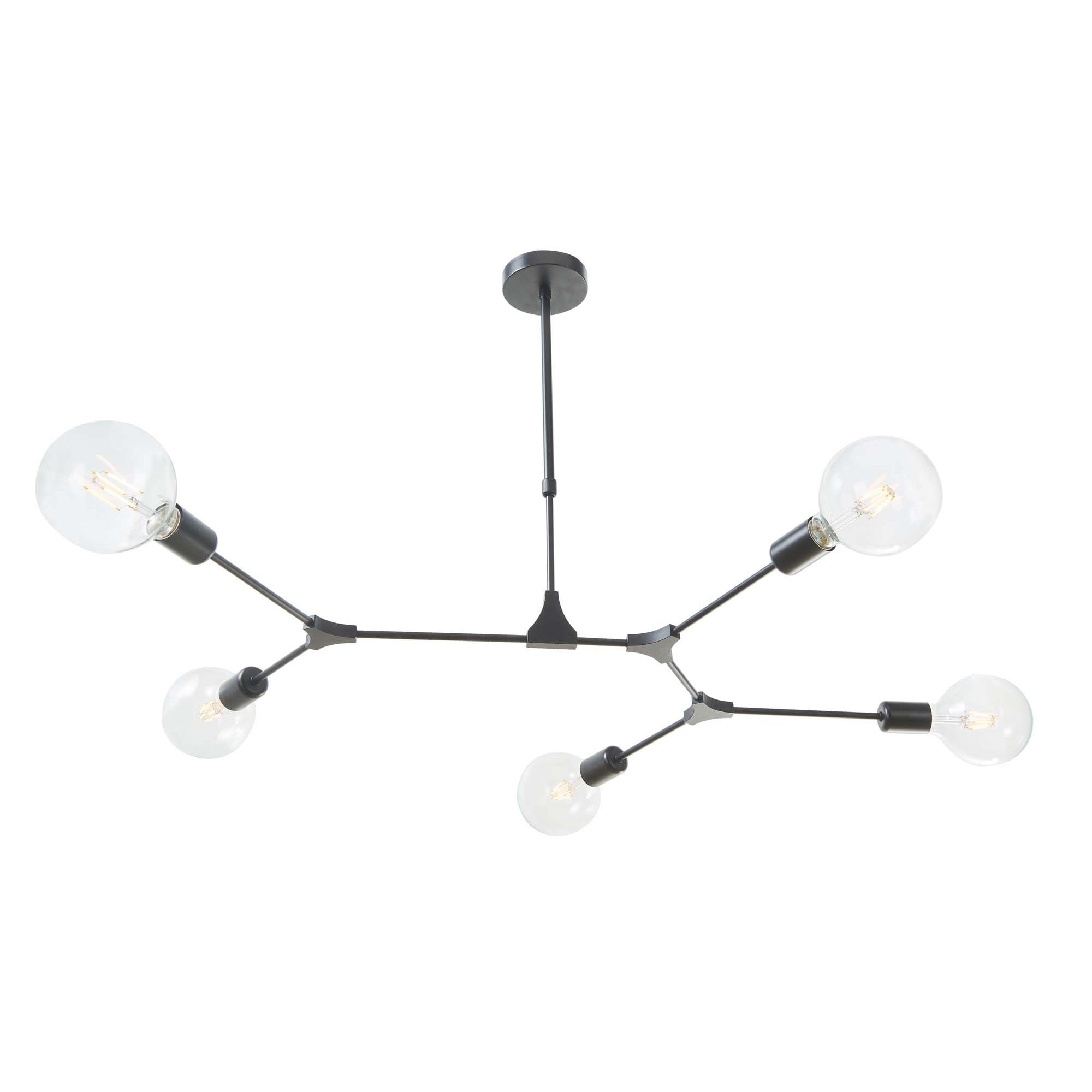 Euphemia Modern 5 Light Ceiling Pendant Light In Black Finish EUP0539