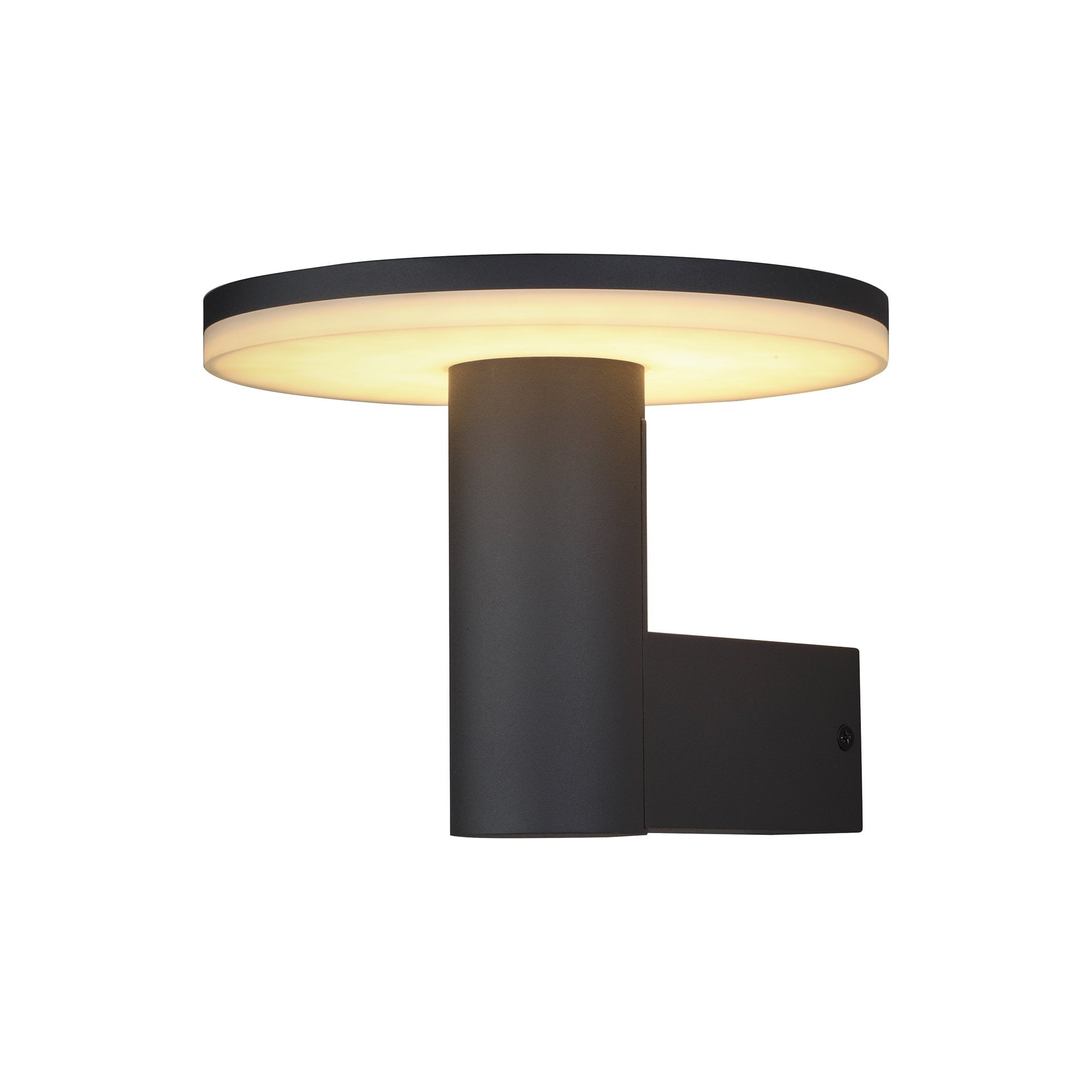 Cerler Outdoor LED Wall Light In Anthracite Finish IP54 M6496
