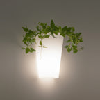 Teja Unique Outdoor Wall Light In White Finish IP54 M6508