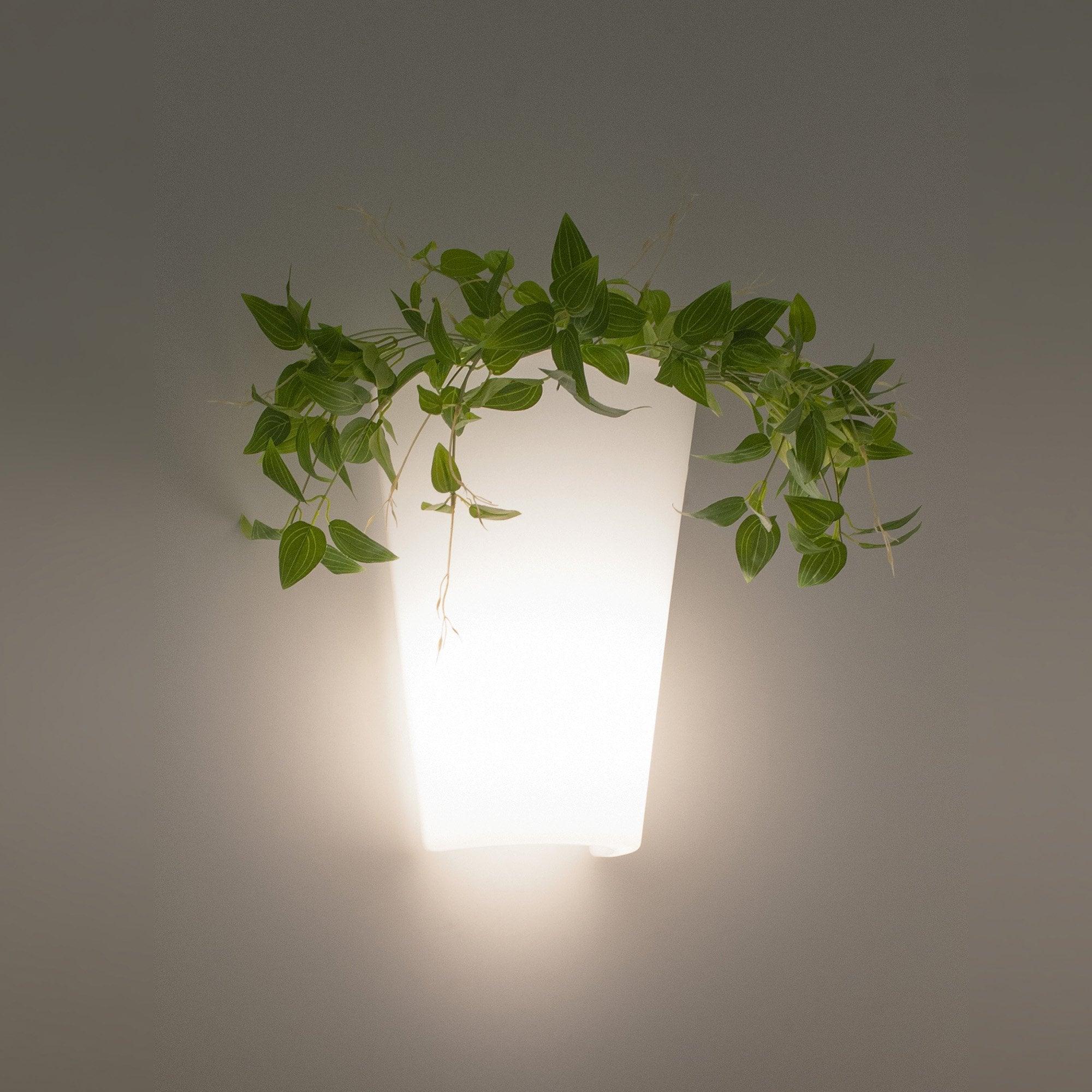 Teja Unique Outdoor Wall Light In White Finish IP54 M6508