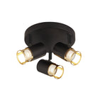 Laser 3 Light Plate Spotlight In Black And Golf Leaf Finish 3483-3BG