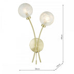 Avari Modern 2 Light Wall Light In Brass Finish With Glass Shades AVA0941