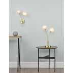 Avari Modern 2 Light Table Lamp In Brass Finish With Glass Shades AVA4241