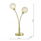 Avari Modern 2 Light Table Lamp In Brass Finish With Glass Shades AVA4241