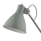 Eunice Task Lamp Grey And Satin Nickel Finish EUN4239