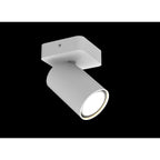SAL single 1 Way Wall spotlight in white