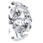 Fusion Stunning Crystal Non-Electric Shade in Polished Chrome Finish PL702130