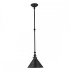 Provence Wall Pendant Light In Old Bronze Finish PV-GWP-OB