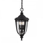 English Bridle Outdoor Medium Chain Ceiling Lantern In Black Finish FE-EB8-M-BLK