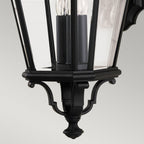 Cotswold Lane Outdoor Large Wall Light In Black Finish FE-COTSLN2-L BK