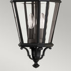Cotswold Lane Outdoor Medium Chain Pendant Light In Black Finish FE-COTSLN8-M BK