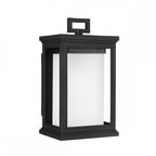 Roscoe Outdoor Small Wall Lantern In Textured Black Finish FE-ROSCOE-S