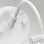 Alton Classic Large LED Picture Light In White Finish ALTON-PL-L-WHT