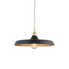 Sleek Ceiling Pendant Light In Matt Black And Satin Gold Paint