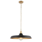 Sleek Ceiling Pendant Light In Matt Black And Satin Gold Paint