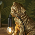 Contemporary Pug Puppy Table Lamp In Vintage Gold And Matt Black 107324