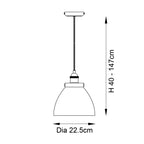 Hansen Retro Ceiling Pendant Light In Bright Nickel Finish With Clear Glass Shade 97588