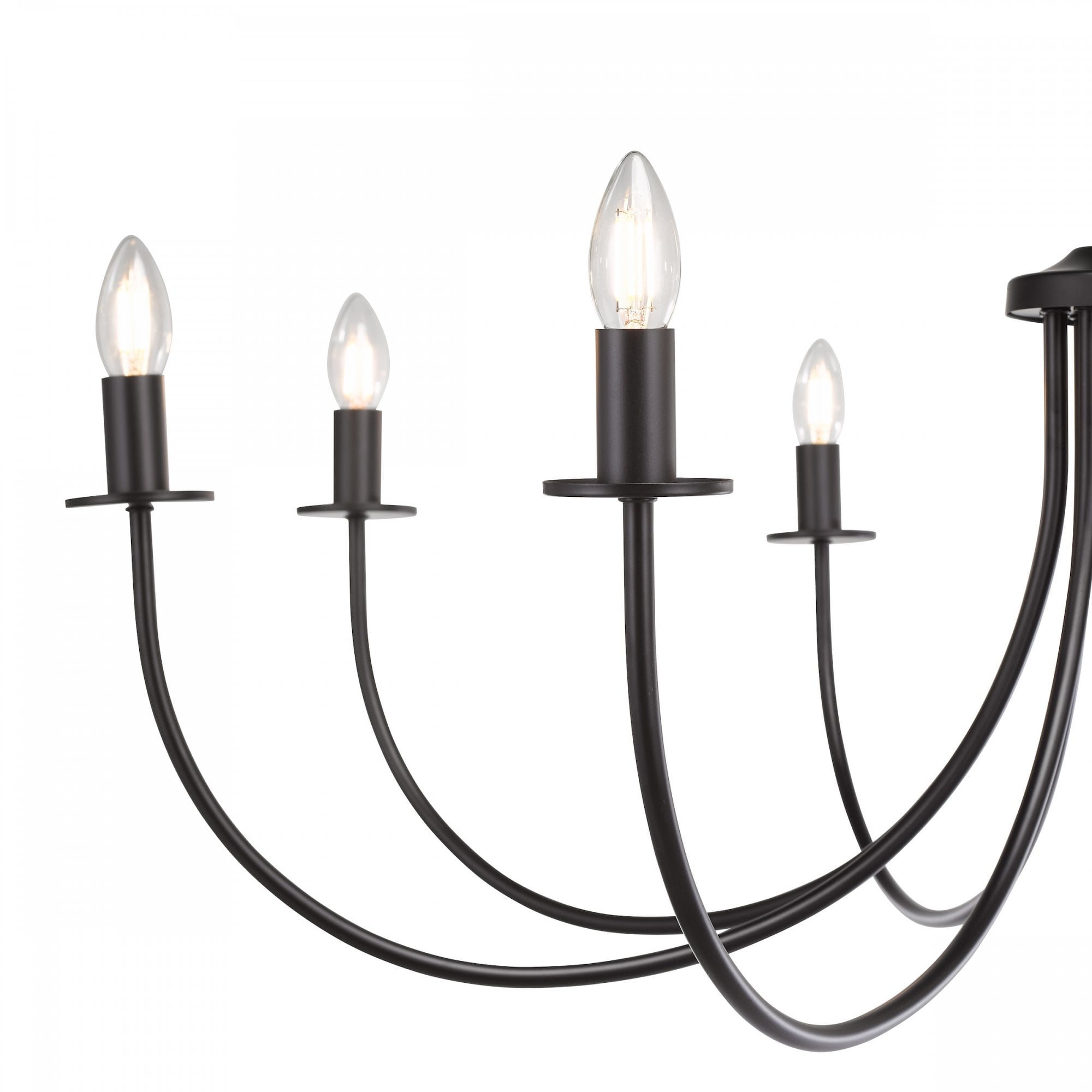Becca 8 Light Ceiling Pendant Light In Matt Black Finish BEC0822