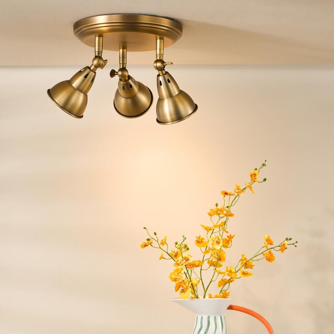 Nathaniel 3 Light Plate Spotlight Aged Brass NAT7642