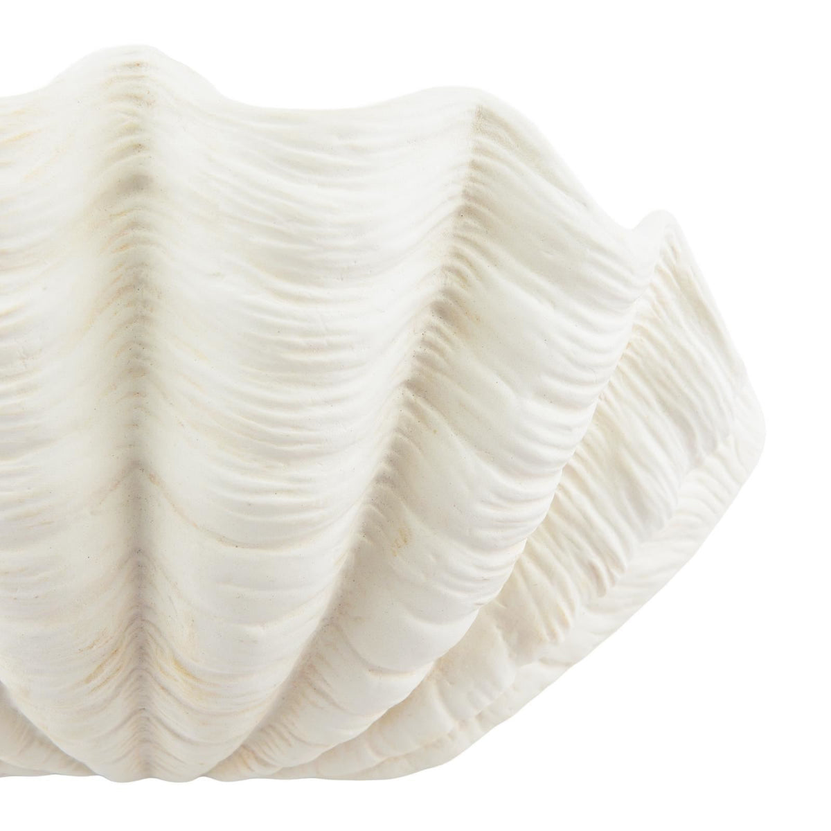 Laura Ashley Shell Wall Washer White Ceramic LA3756703-Q