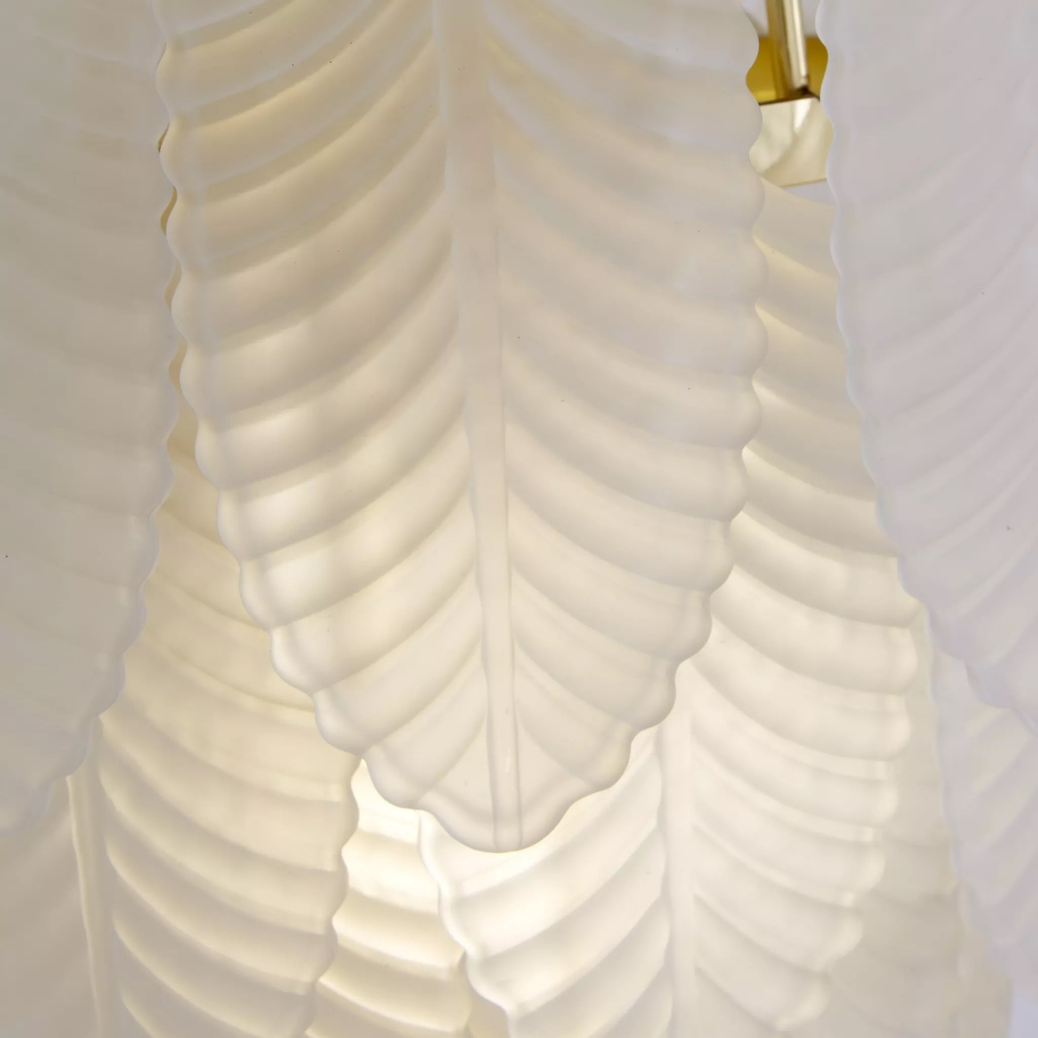 Feather Wall Light In Polished Brass Finish With Frosted Glass 48910-1SB